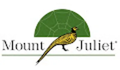 Ireland Logo